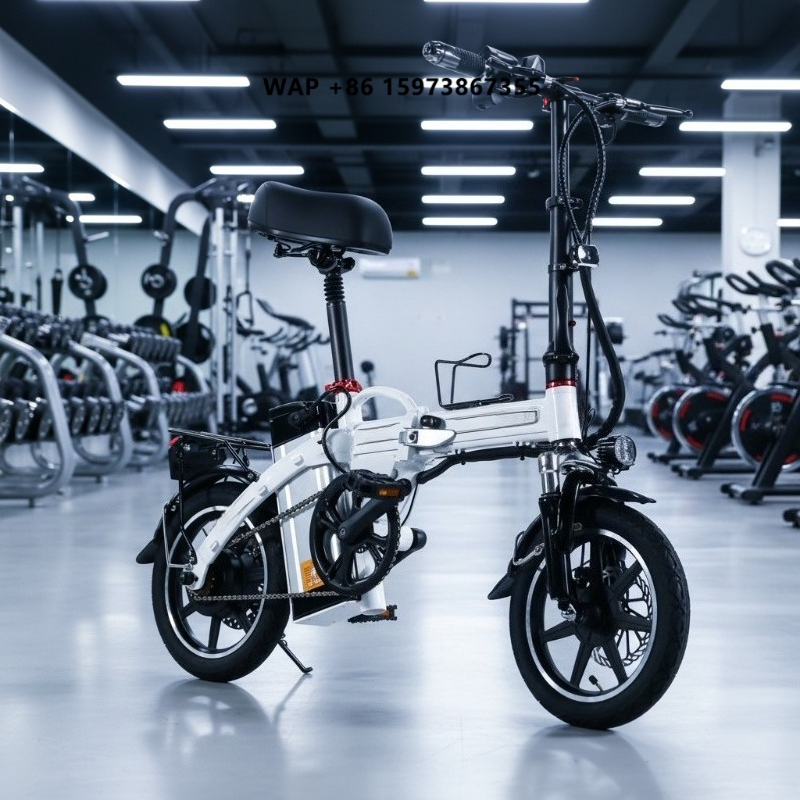 Mini vélo électrique pliable,  - Commuting With Bike avis et prix